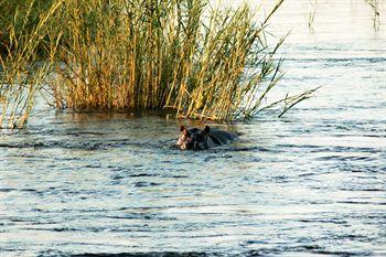 Divava Okavango Resort And Spa Bagani Buitenkant foto